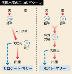 現代の倫理』図版集(第3部第2章、カラー) | 山川&二宮ICTライブラリ
