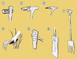 弥生時代の農具 新日本史 18頁 カラー 山川 二宮ictライブラリ