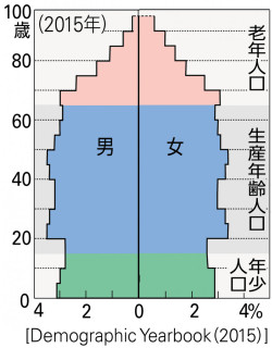 P 259図3スウェーデンの人口ピラミッド 山川 二宮ictライブラリ