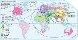 世界の宗教分布 レイヤー切り替え地図 山川 二宮ictライブラリ