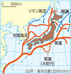 山川＆二宮ICTライブラリ