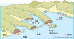 沿岸流