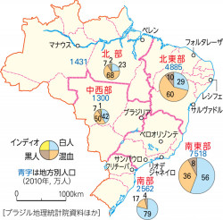 P 287図1ブラジルの地方別の住民構成 山川 二宮ictライブラリ