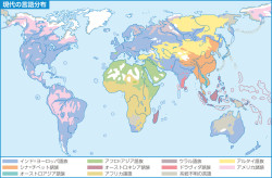 世界史と言語――語族の分布と国際語＼現代の言語分布(『流れ図世界史 