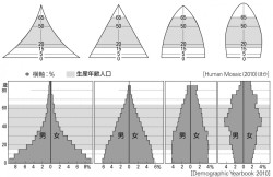 P 142図5人口ピラミッドのタイプと例 山川 二宮ictライブラリ